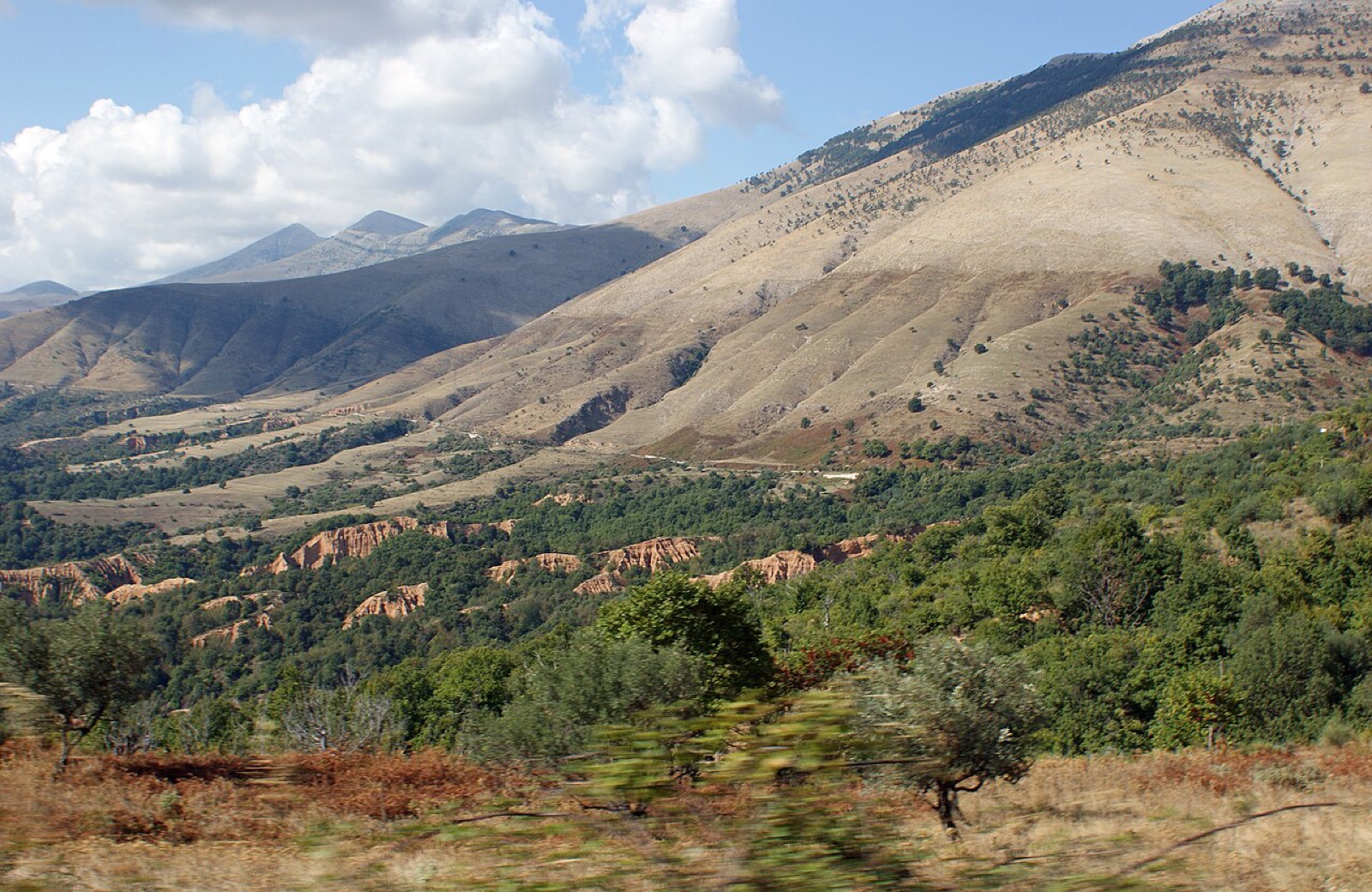 Bokërrimat e Muzinës, South Albania