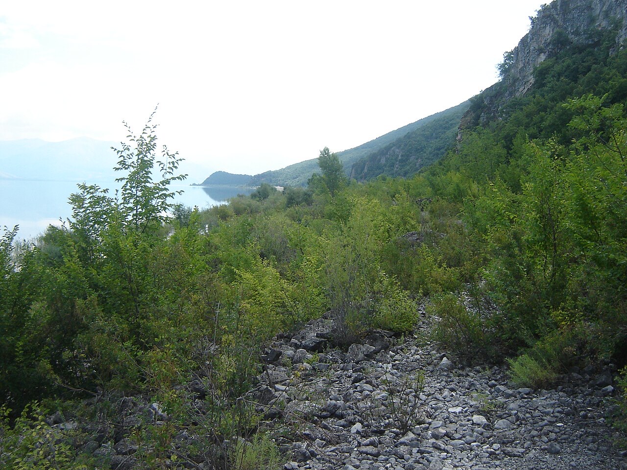 Southern shoreline of Lake Prespa in Macedonia.