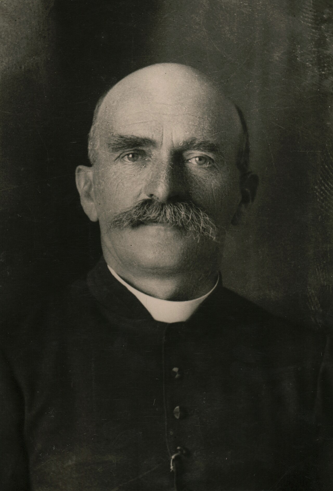 Ndre Mjeda's portrait