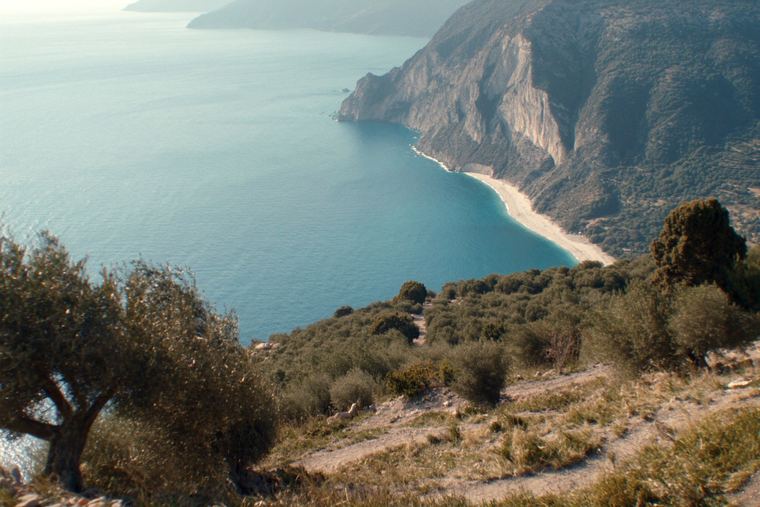 Steep cliffs above a long curve of white beach and clear blue sea, with an olive tree in the foreground