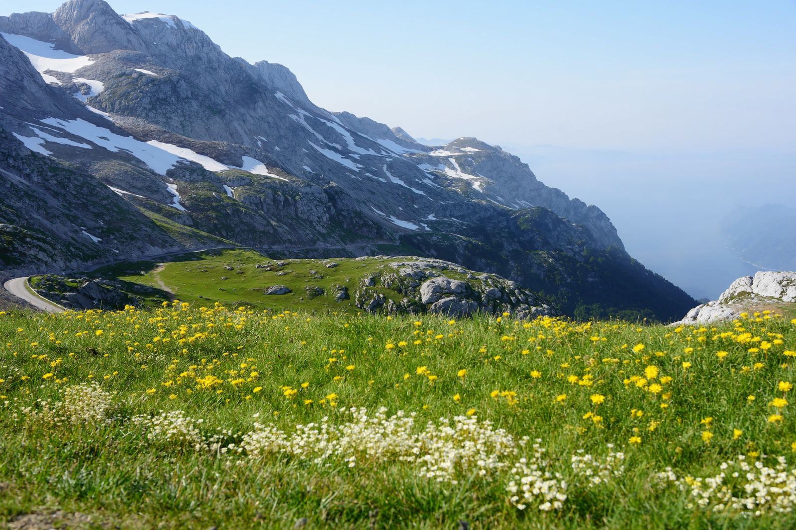 Spring wildflowers on a mountain pass, with snow still on the high peaks and the sea far below