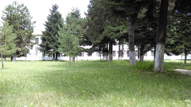 Bilisht 26 — Bilisht, Albania
