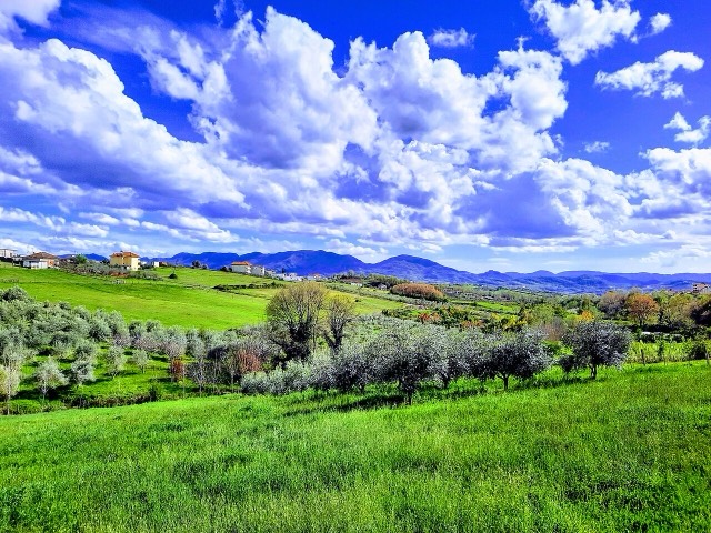 Green white and blue, Tiranë County, Albania