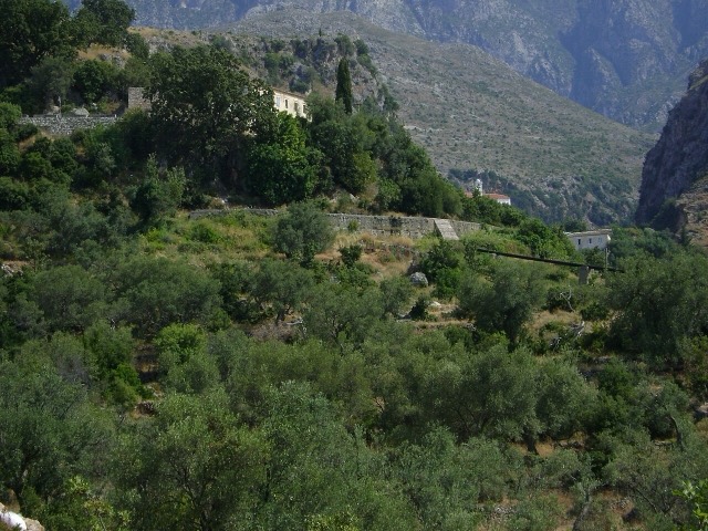 Gogo Leka, Category:Dhërmi