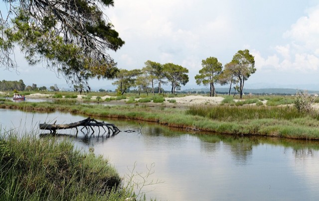 Karavasta National Park. Albania.