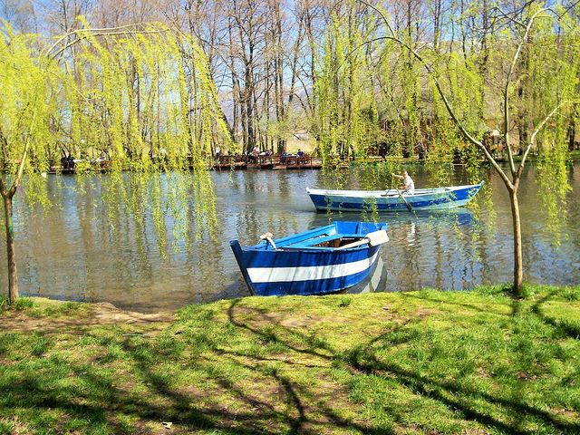 Drilon, Pogradec (15), Drilon Springs, Albania