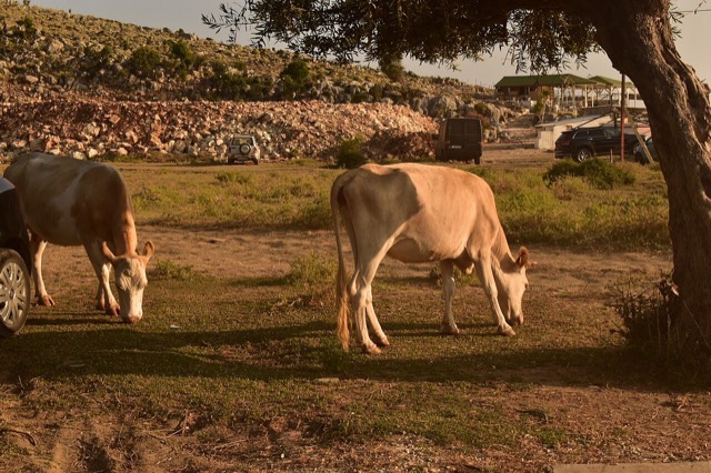 This is a photo of a natural heritage site in Albania, id: