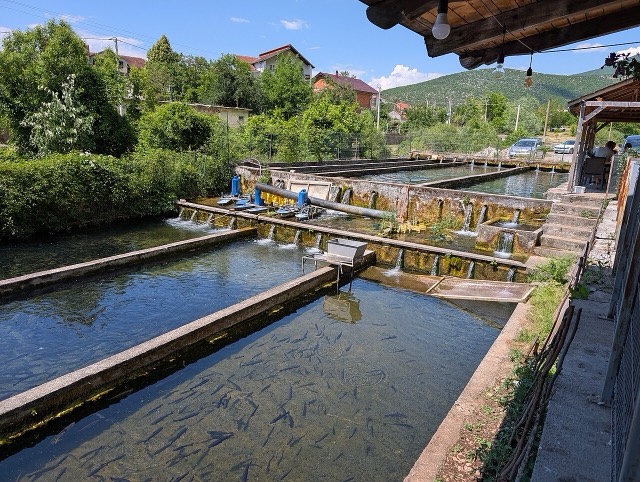 Fish farm Krumë