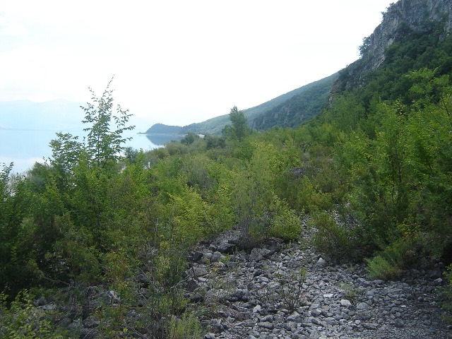 Southern shoreline of Lake Prespa in Macedonia.