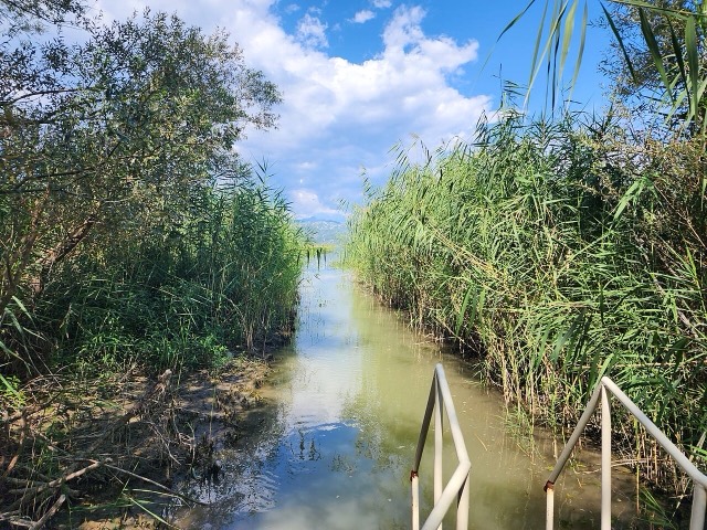 Lake Skadar 2025, Lake Shkodër, Albania
