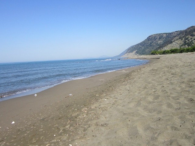 This is a photo of shengjin's rana