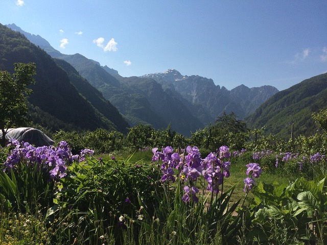 Qender Theth, Albania